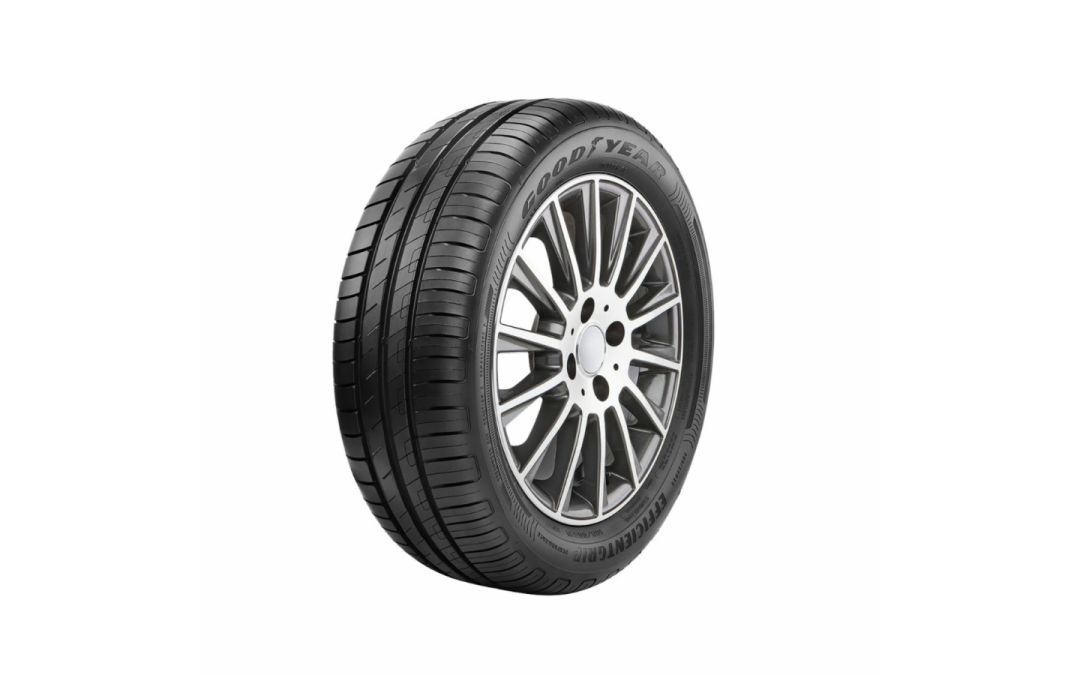 225/55R16 EFFICIENTGRIP PERF. 95V